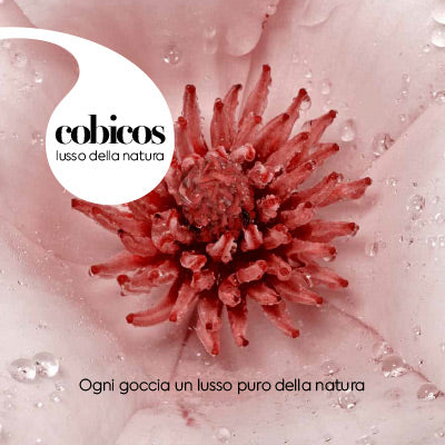 cobicos Katalog italienisch