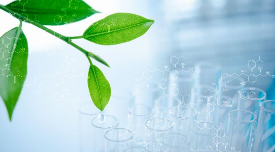 grüne Blätter Naturkosmetik vs. Chemie in Reagenzgläsern