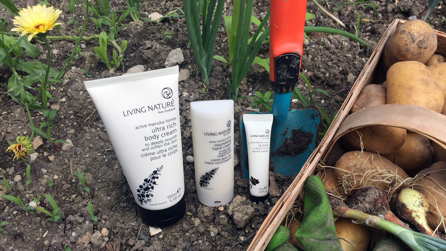 Die perfekte Hand- und Nagelpflege - cobicos