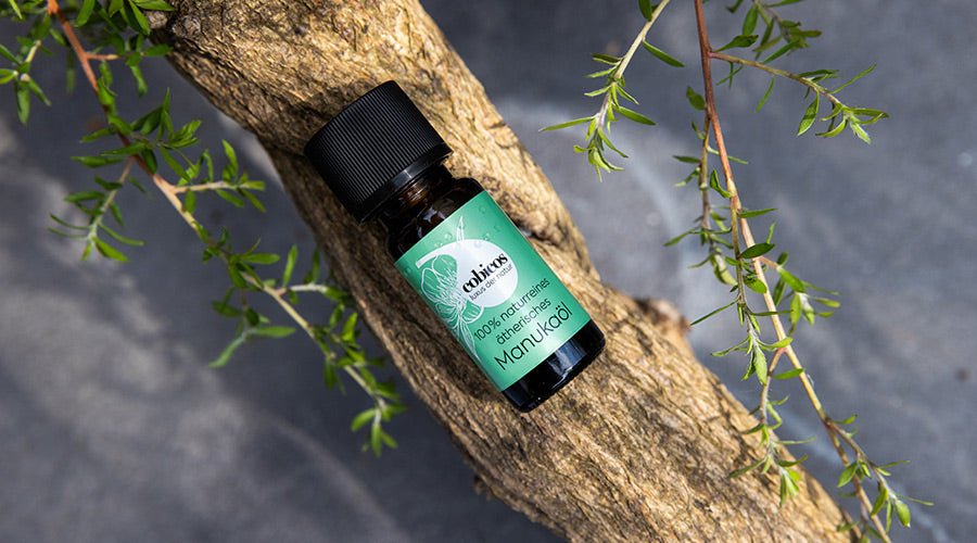DIY – Handdesinfektionsspray schnell hergestellt mit Manukaöl - cobicos