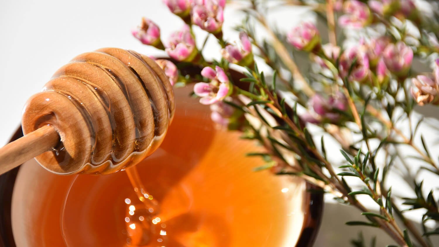 Manukahonig – was Besonderes oder Massenmarkt? - cobicos