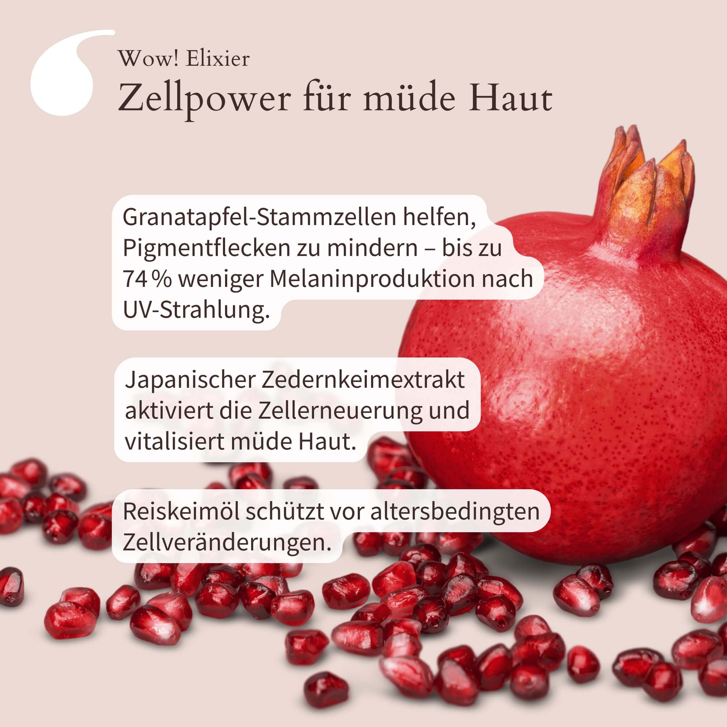Roter Granatapfel und leuchtend rote Granatapfelkerne verstreut am Boden
